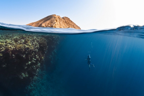 Freediver surfaces aside a coral reef plateau, Islands of NEOM - NEOM, Saudi Arabia